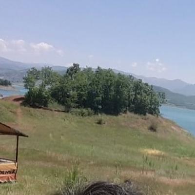 169478537 854011115153736 6642340875800527918 N